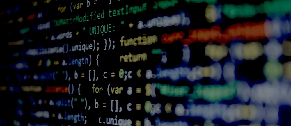 Web Development Project