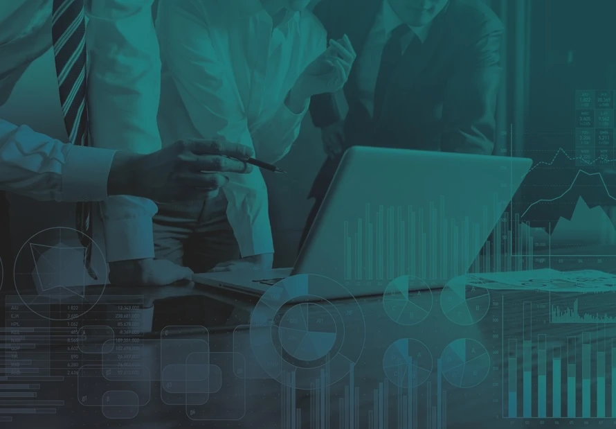 IT Consulting Project